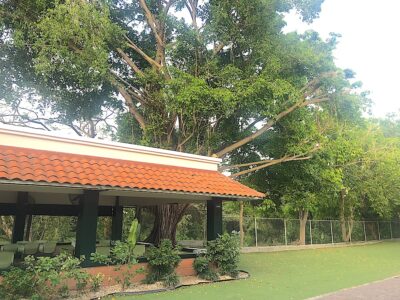 Gazebo2